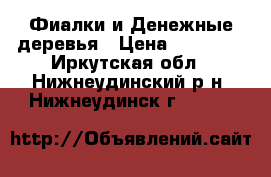 Фиалки и Денежные деревья › Цена ­ 50-250 - Иркутская обл., Нижнеудинский р-н, Нижнеудинск г.  »    